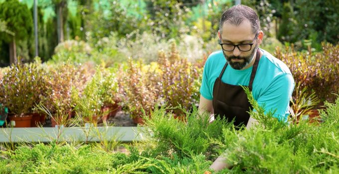 LandPro’s landscaping insurance